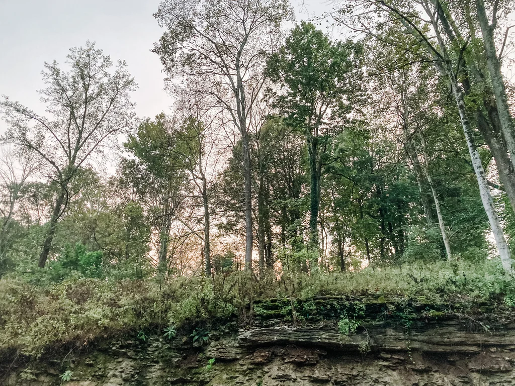 4.9-Acre Wooded Estate Lot