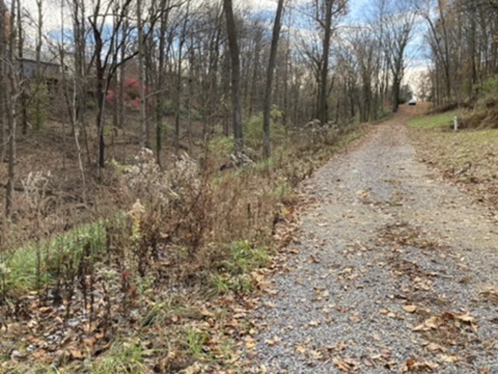 4.9-Acre Wooded Estate Lot
