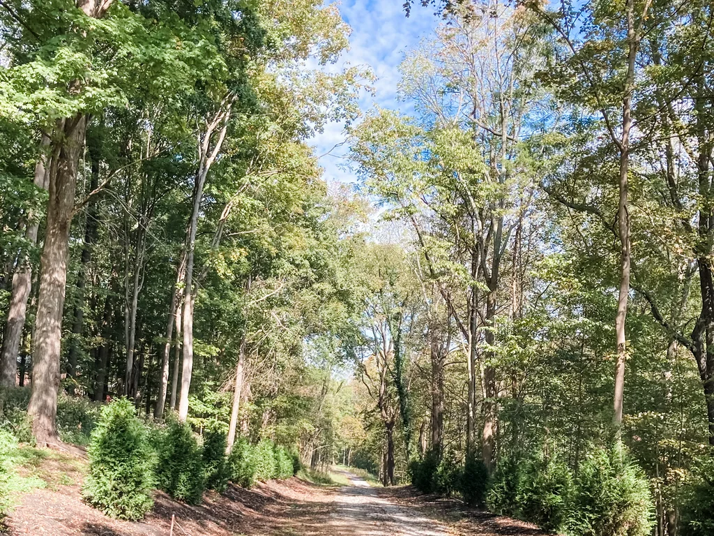 4.9-Acre Wooded Estate Lot