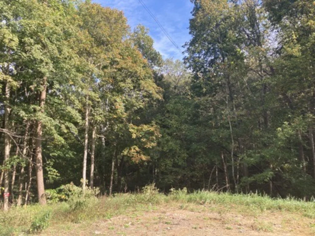 4.9-Acre Wooded Estate Lot