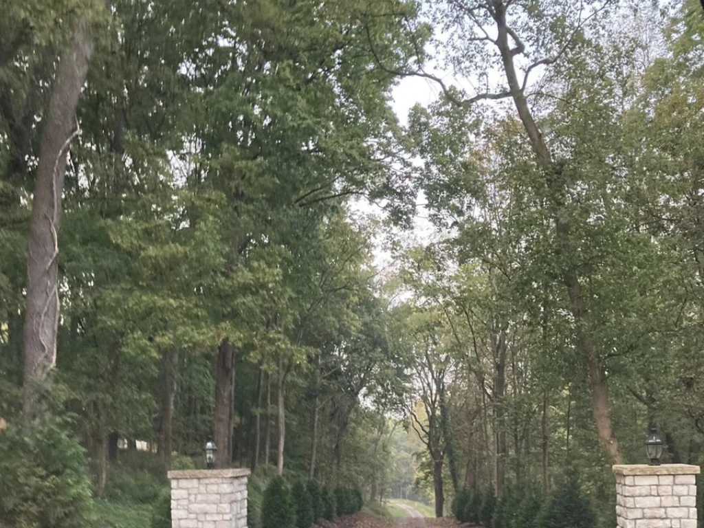 You Finally Found The Spot To Build Your Dream House! 