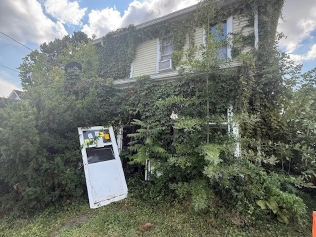 Investor's Dream Project
