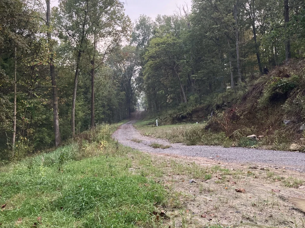 4.9-Acre Wooded Estate Lot